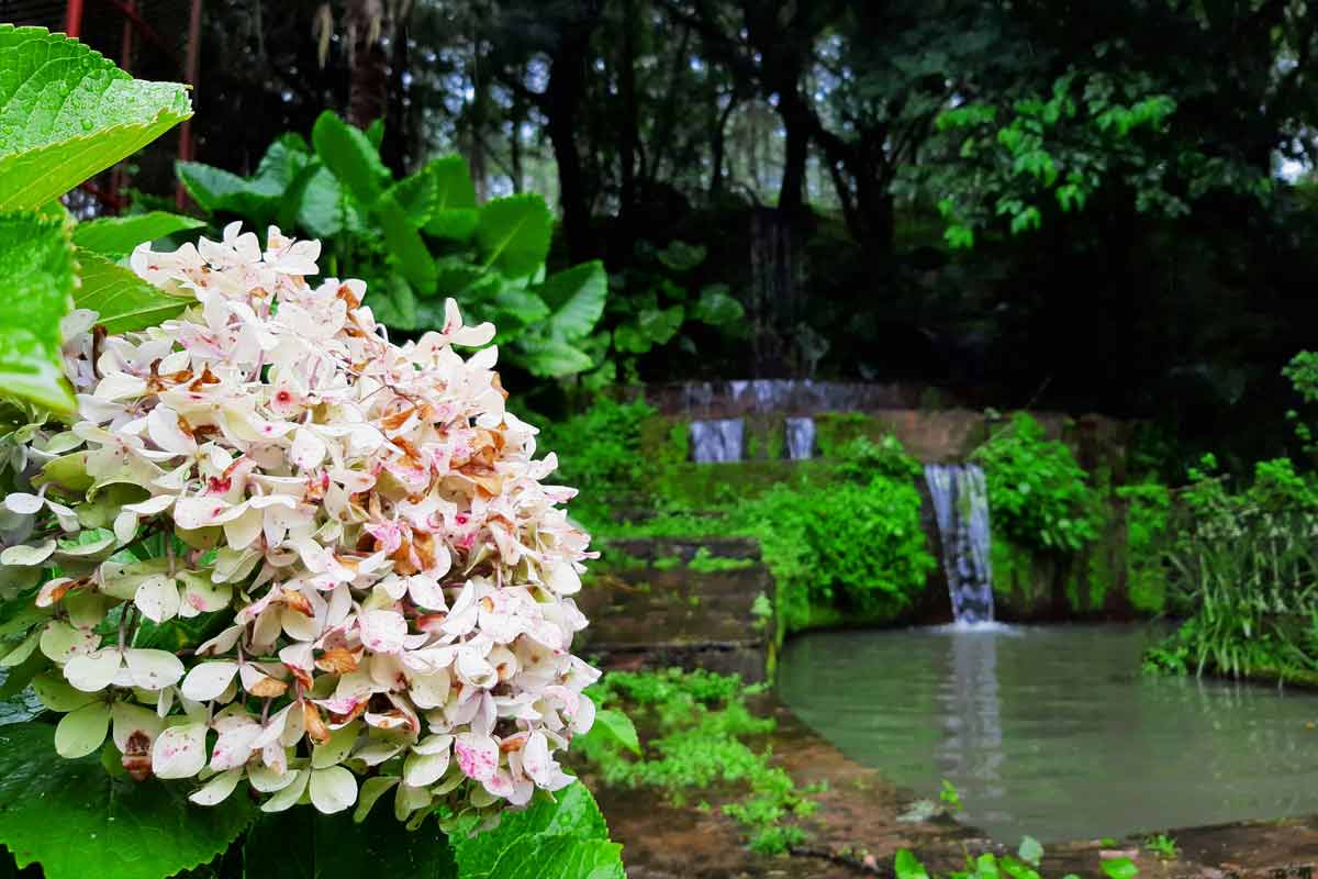 Imper - Impermeabilizações, Piscinas, Lagoas, Habitação, Telhados e Coberturas