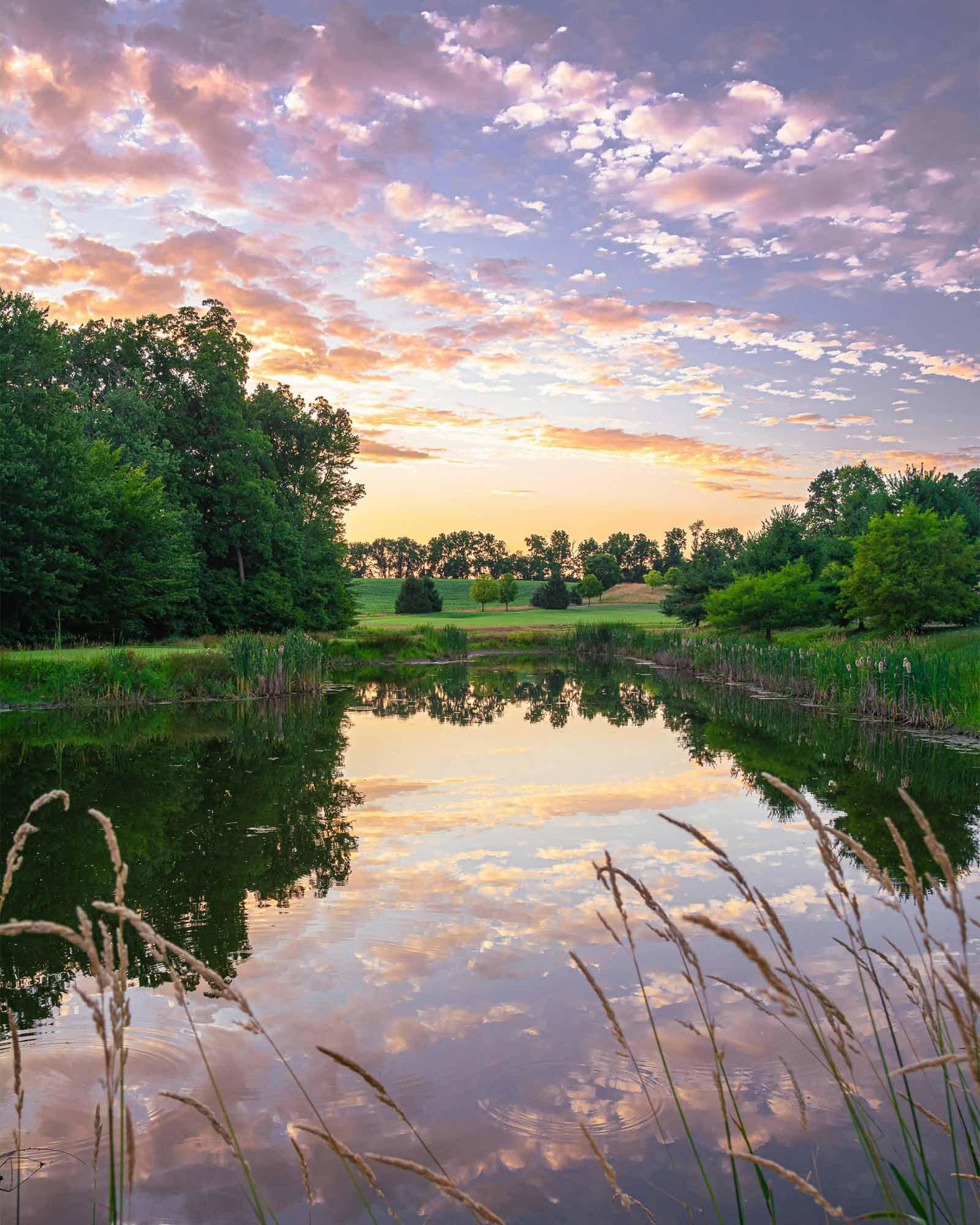 Imper - Impermeabilizações, Piscinas, Lagoas, Habitação, Telhados e Coberturas
